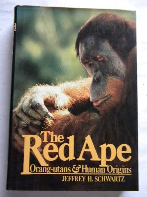 THE RED APE  Orang-utans and Human Origins  by Jeffrey H. Schwartz