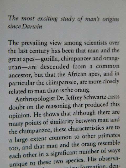 THE RED APE  Orang-utans and Human Origins  by Jeffrey H. Schwartz
