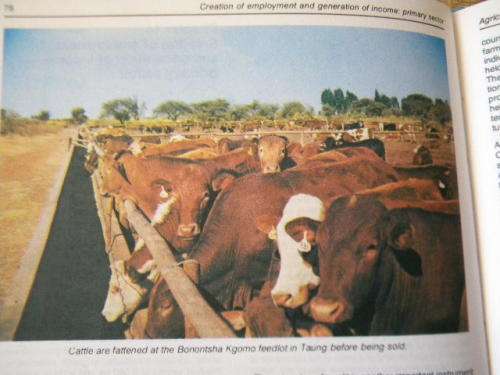 BOPHUTHATSWANA  AT INDEPENDENCE  6 December 1977