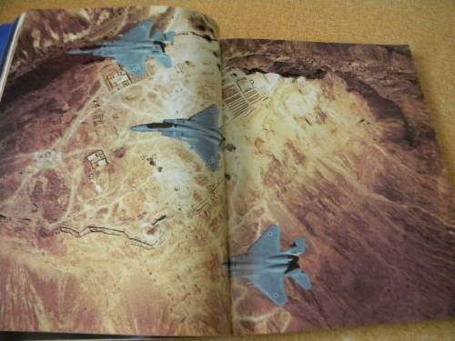 WAR IN THE GULF From the Invasion of Kuwait to Day of Victory and Beyond  by Thomas Allen and others