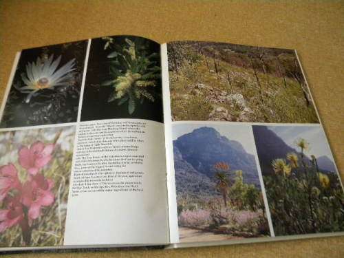 KNOW TABLE MOUNTAIN by John Kench