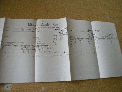 AFRICAN SYSTEMS OF KINSHIP AND MARRIAGE  by A.R. Radcliffe-Brown and Daryll Forde