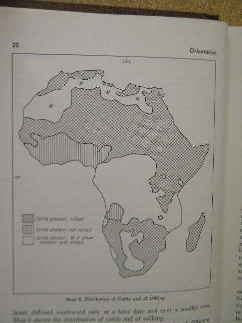 AFRICA  Its Peoples and Their Culture History  by George Peter Murdock