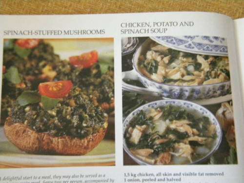 THE COMPLETE DIABETICS` COOKBOOK  by Wendy Silver