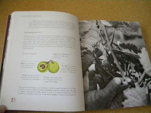 A GOOD NOSE and GREAT LEGS The art of wine from the vine to the table  by Robert Geddes