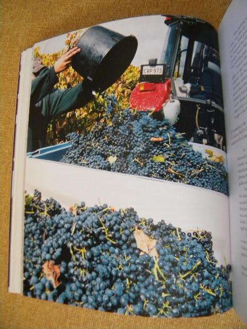 A GOOD NOSE and GREAT LEGS The art of wine from the vine to the table  by Robert Geddes