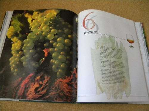 WINES AND BRANDIES OF THE CAPE OF GOOD HOPE  by Phyllis Hands and Dave Hughes