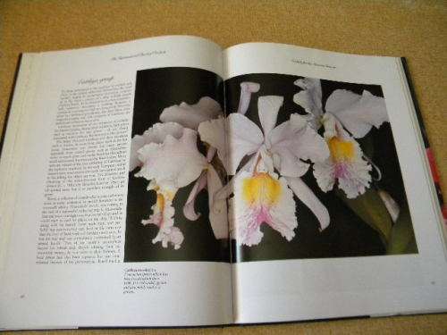 THE INTERNATIONAL BOOK OF ORCHIDS  by L. Francis Hunt