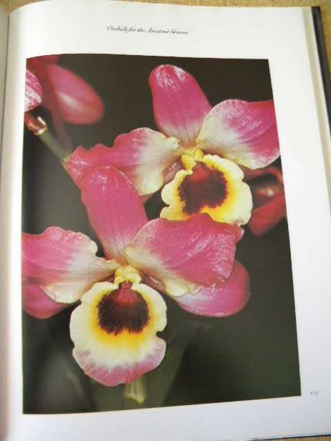 THE INTERNATIONAL BOOK OF ORCHIDS  by L. Francis Hunt