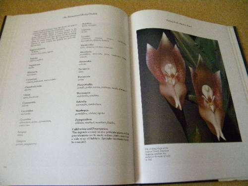 THE INTERNATIONAL BOOK OF ORCHIDS  by L. Francis Hunt