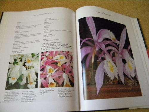 THE INTERNATIONAL BOOK OF ORCHIDS  by L. Francis Hunt