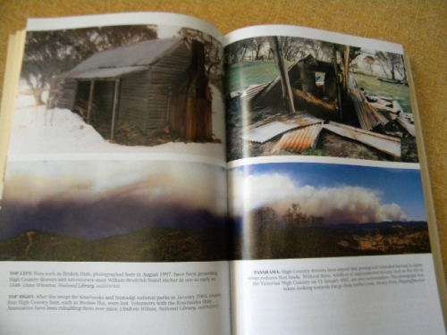 THE DROVERS  by Evan McHugh  Stories behind heroes of our stock routes