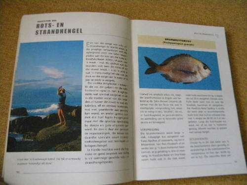 SOUTWATERHENGEL IN SUID-AFRIKA deur Hennie Crous