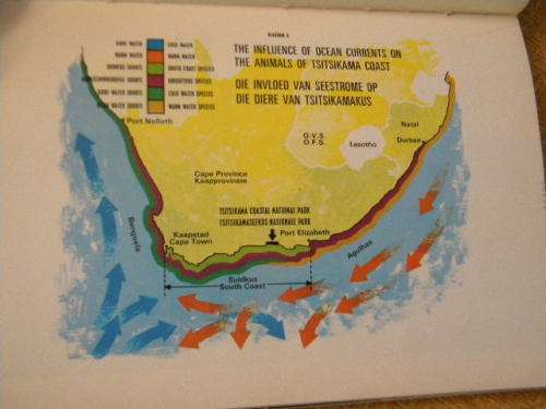TSITSIKAMA SHORE / TSITSIKAMAKUS  by R.M. Tietz and Dr. G.A. Robinson