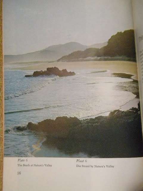 TSITSIKAMA SHORE / TSITSIKAMAKUS  by R.M. Tietz and Dr. G.A. Robinson