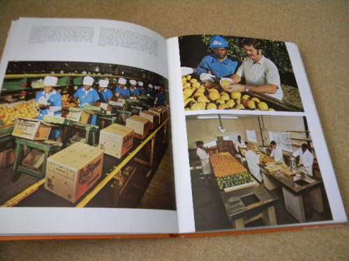 DIE GESK VAN SA SITRUSBEDRYF: OUTSPAN - DIE GOUE OES  deur A.P. Cartwright