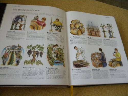 THE WORLD ATLAS OF WINE  by Mitchell Beazley