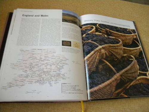THE WORLD ATLAS OF WINE  by Mitchell Beazley
