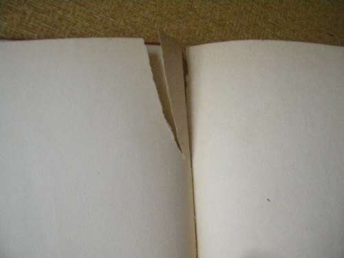 EXTRACTS FROM ADAM`S DIARY  by Mark Twain