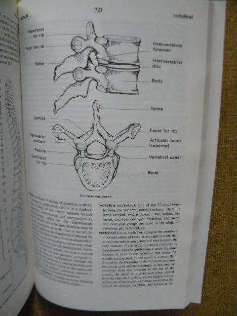 BLACKWELL`S DICTIONARY OF NURSING