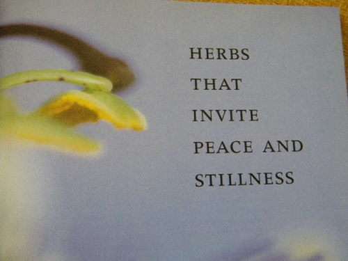 HERBS FOR THE SOUL  by Tamara Kircher