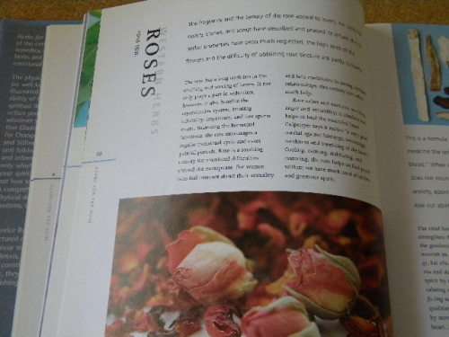 HERBS FOR THE SOUL  by Tamara Kircher