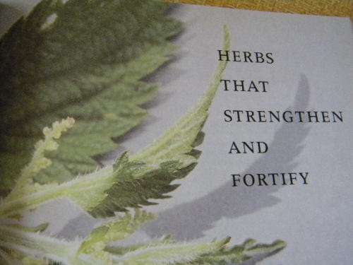 HERBS FOR THE SOUL  by Tamara Kircher