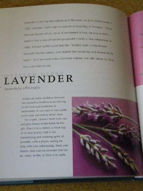 HERBS FOR THE SOUL  by Tamara Kircher