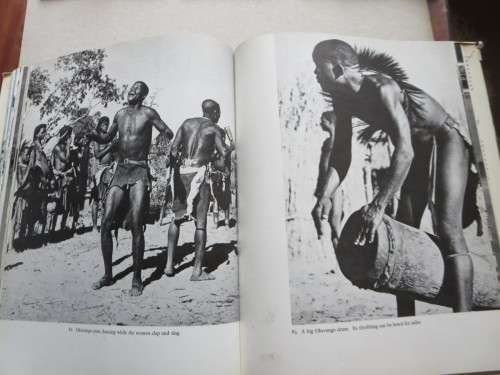 SOUTH WEST AFRICA  by Alice Mertens  Introduction: Stuart Cloete