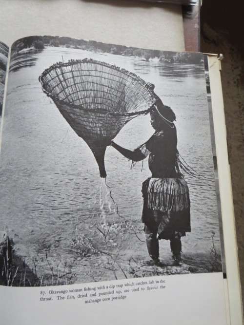 SOUTH WEST AFRICA  by Alice Mertens  Introduction: Stuart Cloete