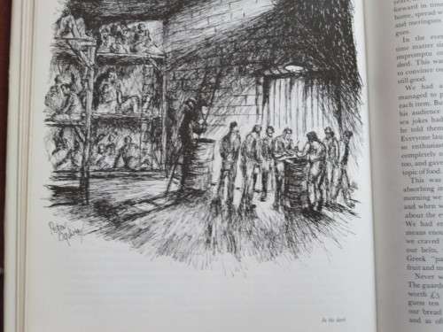 IN THE BAG  Drawings by Peter Ogilvie and Words by Newman Robinson