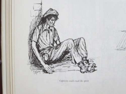 IN THE BAG  Drawings by Peter Ogilvie and Words by Newman Robinson