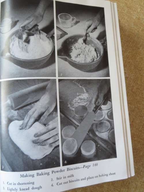WOMAN`S HOME COMPANION COOK BOOK