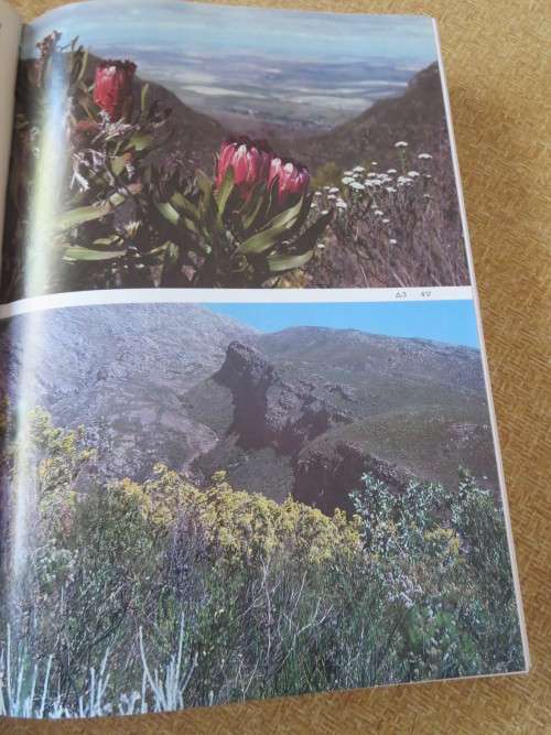 GUIDE TO TRAILING MOUNTAINEERING IN Southern Africa by Jaynee Levy