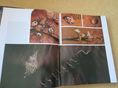 NAMIBIA : AFRICA`S HARSH PARADISE  by Anthony Bannister and Peter Johnson
