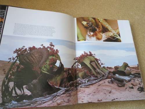 NAMIBIA : AFRICA`S HARSH PARADISE  by Anthony Bannister and Peter Johnson