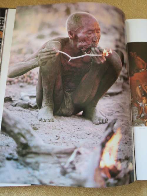 NAMIBIA : AFRICA`S HARSH PARADISE  by Anthony Bannister and Peter Johnson