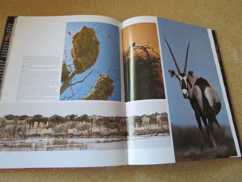 NAMIBIA : AFRICA`S HARSH PARADISE  by Anthony Bannister and Peter Johnson