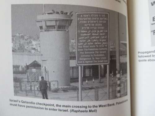 DRAWING FIRE  by Benjamin Pogrund (Investigating accusations of apartheid in Israel)
