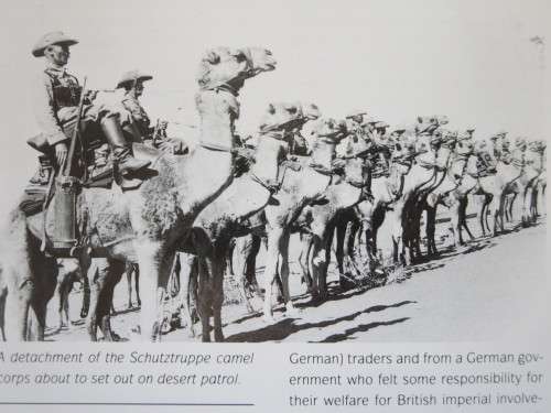 THIS IS NAMIBIA  by Gerald Cubitt and Peter Joyce