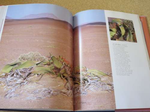 THIS IS NAMIBIA  by Gerald Cubitt and Peter Joyce