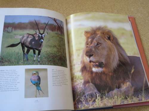 THIS IS NAMIBIA  by Gerald Cubitt and Peter Joyce