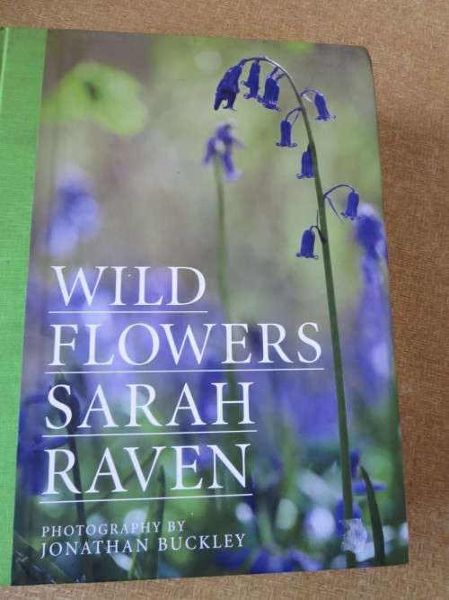 WILD FLOWERS  by Sarah Haven  Photography by Jonathan Buckley