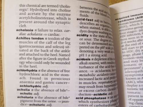 CHURCHILL LIVINGSTONE`S DICTIONARY OF NURSING  by Christine Hancock
