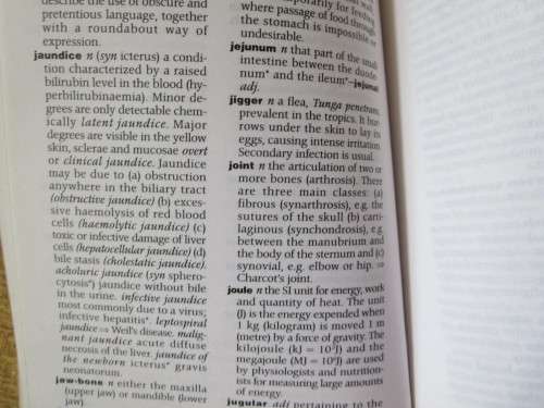 CHURCHILL LIVINGSTONE`S DICTIONARY OF NURSING  by Christine Hancock