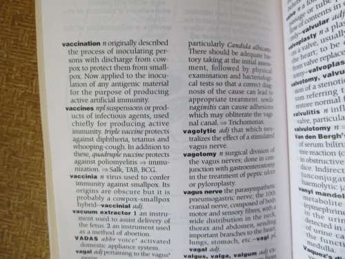 CHURCHILL LIVINGSTONE`S DICTIONARY OF NURSING  by Christine Hancock