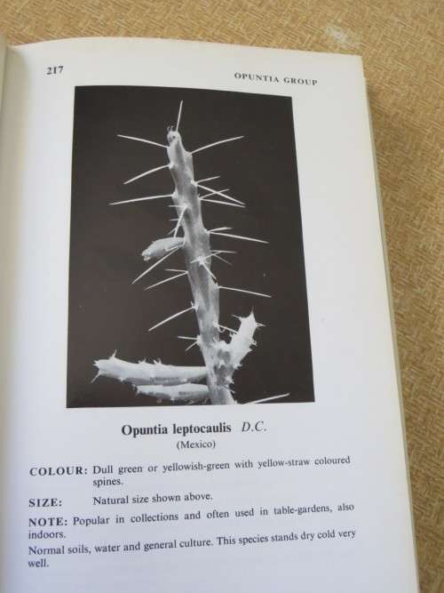 CACTI and OTHER SUCCULENTS VOL TWO  by Edgar Lamb  (Illustrated Reference)