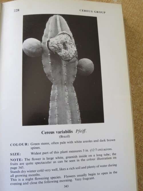 CACTI and OTHER SUCCULENTS VOL TWO  by Edgar Lamb  (Illustrated Reference)