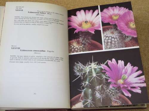 CACTI and OTHER SUCCULENTS VOL TWO  by Edgar Lamb  (Illustrated Reference)
