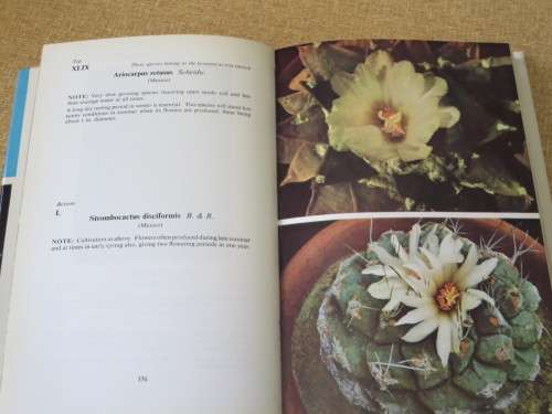 CACTI and OTHER SUCCULENTS VOL TWO  by Edgar Lamb  (Illustrated Reference)